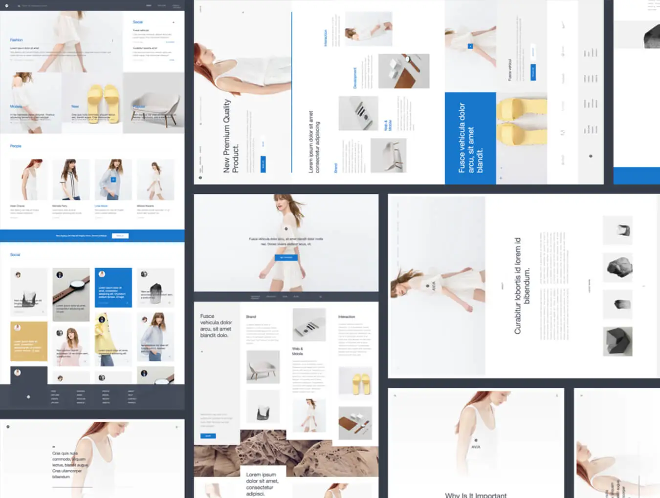 ——Avia UI Kit简洁精美设计Web UI模版