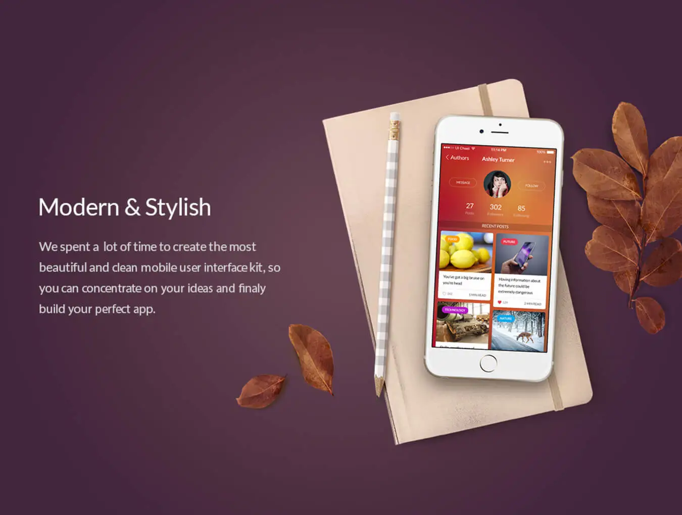 Chameleon UI Kit 社交分享照片相册AppUI设计元素组件图标规范模版