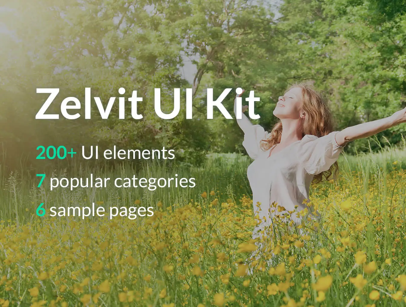 Zelvit UI时尚明亮200+界面WebUI设计组件规范图标元素模版